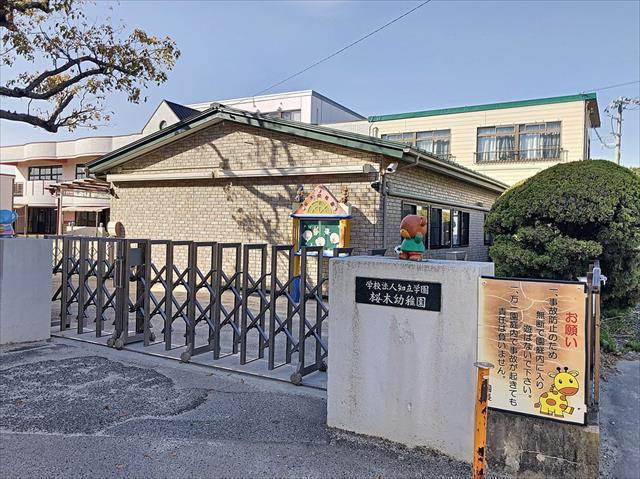 幼稚園・保育園　桜木幼稚園（幼稚園・保育園）まで568m