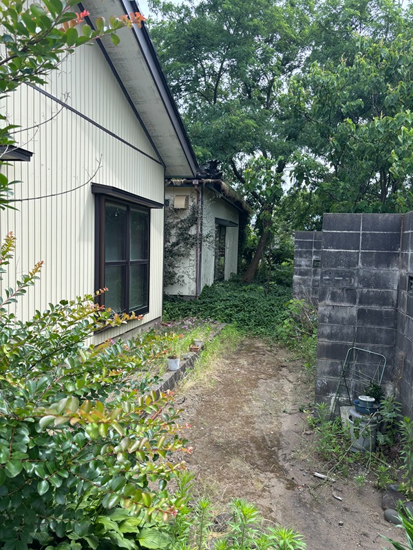 庭