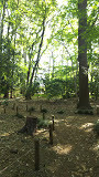公園　駒場緑地（公園）まで1211m