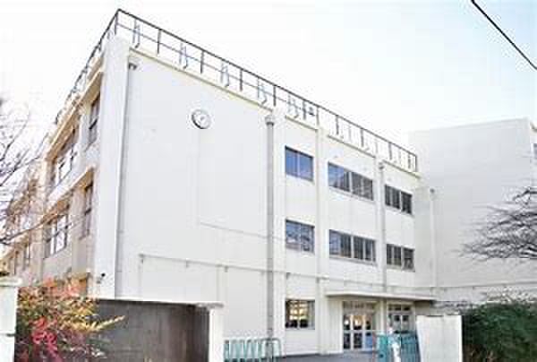 小学校　世田谷区立砧小学校（小学校）まで515m