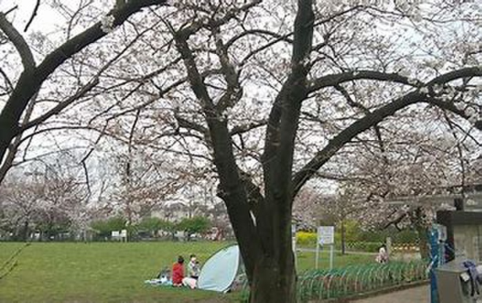 公園　桜川公園（公園）まで850m