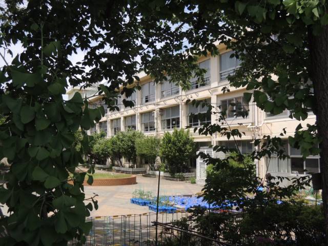 小学校　練馬区立田柄小学校（小学校）まで699m