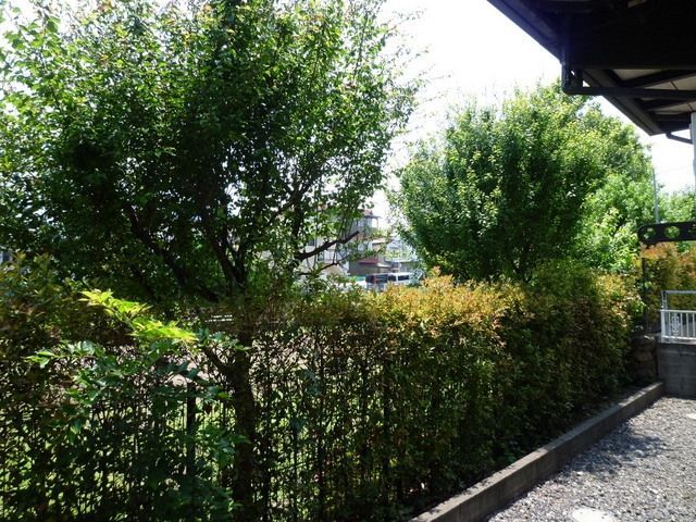 その他　公園目の前