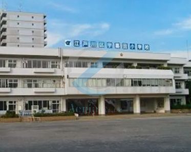 小学校　江戸川区立宇喜田小学校（小学校）まで530m