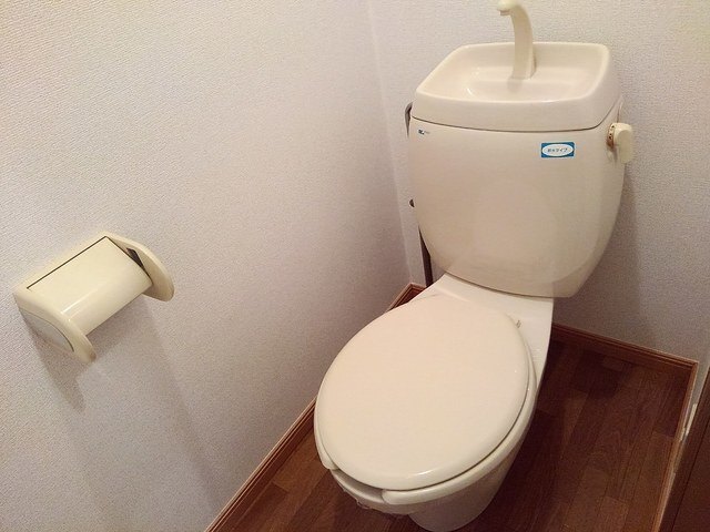 ニューシティ吉岡Bのトイレ写真