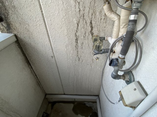 ビアンカ1のその他写真