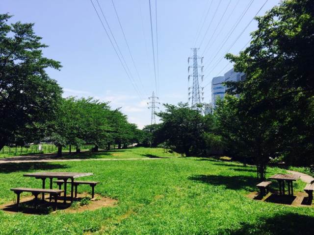 公園　沢渡中央公園（公園）まで1244m