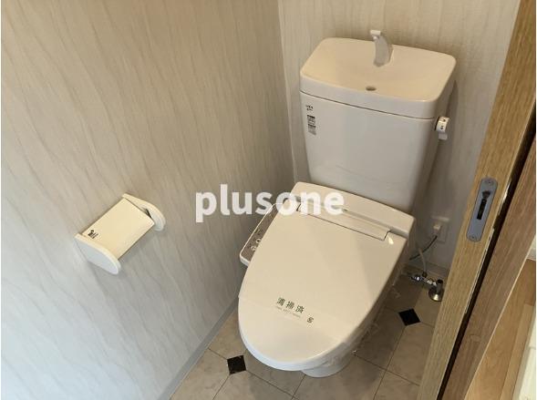 グランパシフィック大国町のトイレ写真