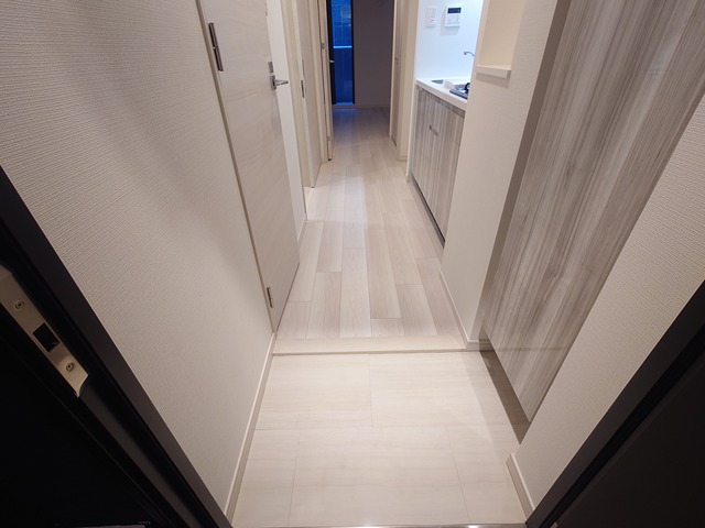 S-RESIDENCE国泰寺町一丁目の内装写真