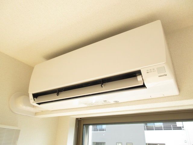 グローブタカ_その他_3