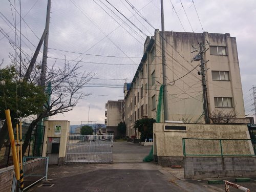 【八尾市龍華町のマンションの小学校】