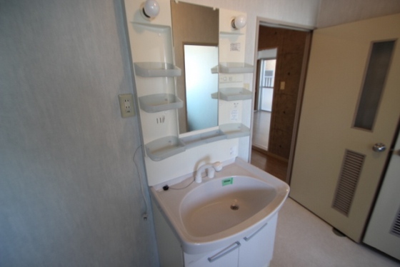洗面設備　※別号室の写真です