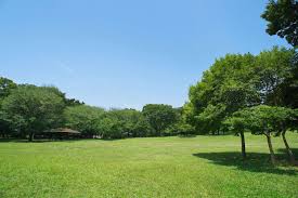 公園　大泉中央公園（公園）まで576m