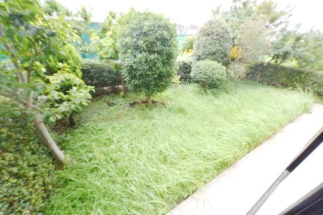 庭