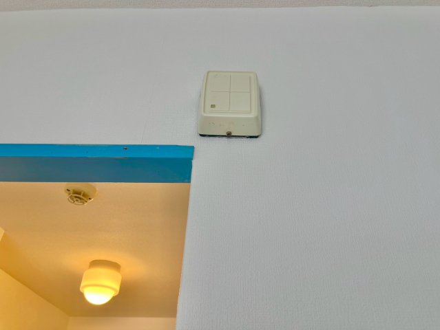 エクセレントサカキのその他写真