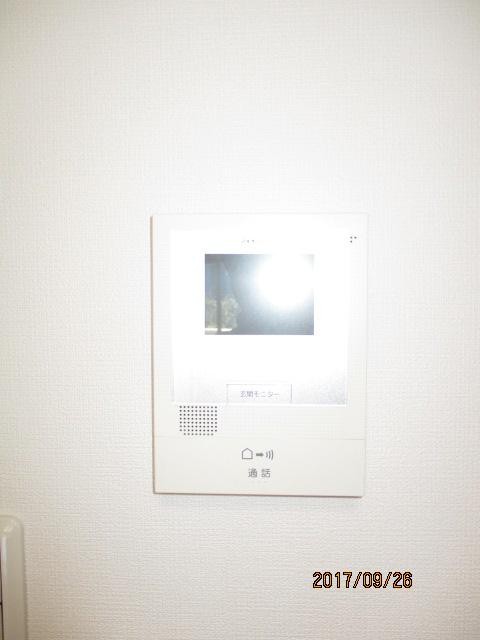 ヴィブレローゼスのその他写真