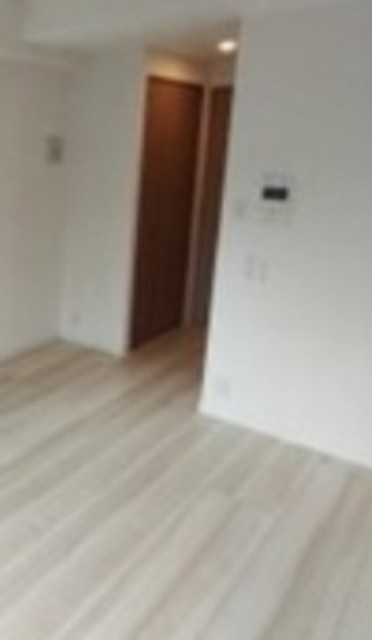ライジングプレイス西浅草の居間写真