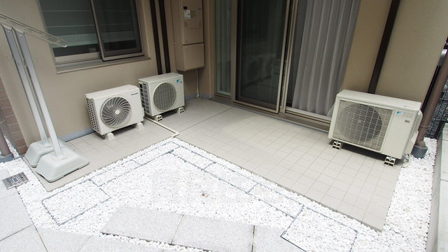 庭