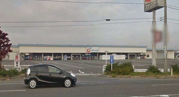 ドラックストア　カワチ薬品富田店（ドラッグストア）まで1729m