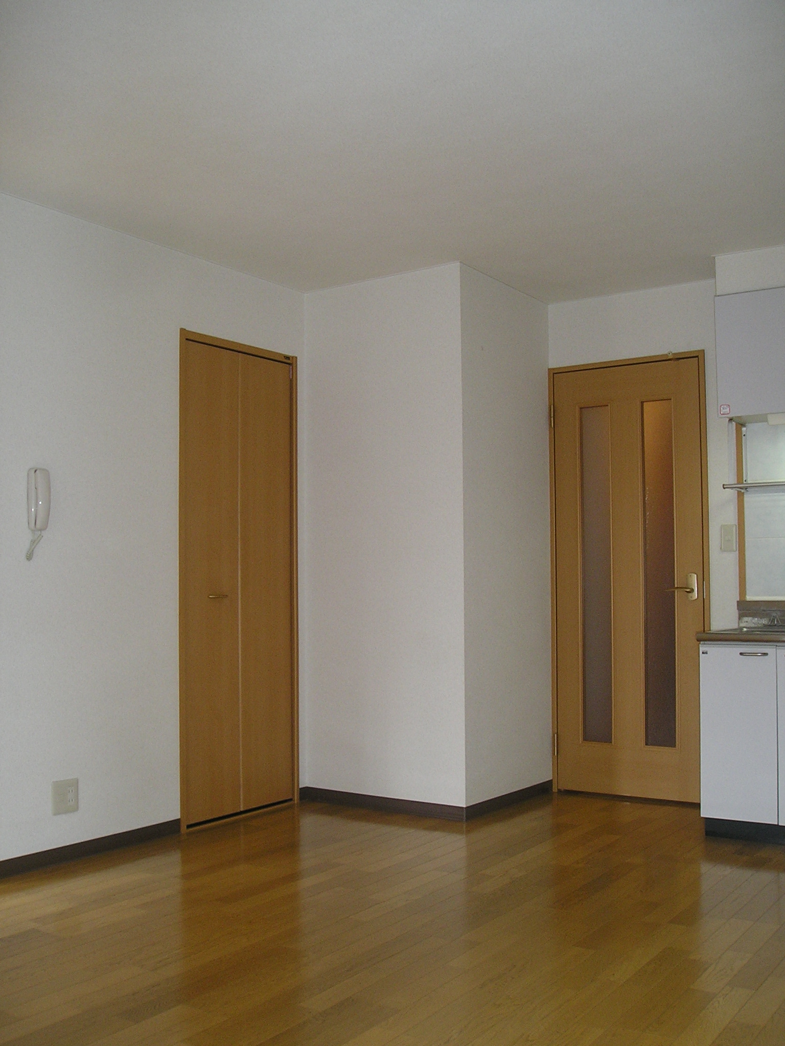 居室・リビング　ＬＤＫにも収納あり