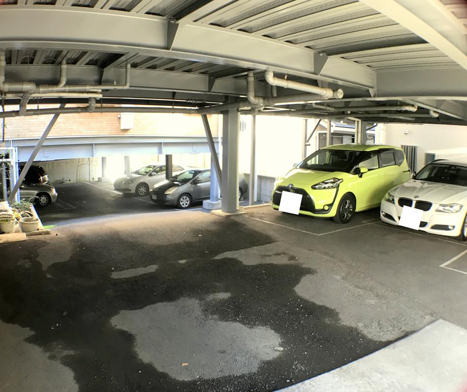 ホワイトベールのその他写真