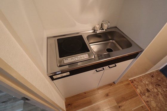 キッチン　※別号室の写真になります。