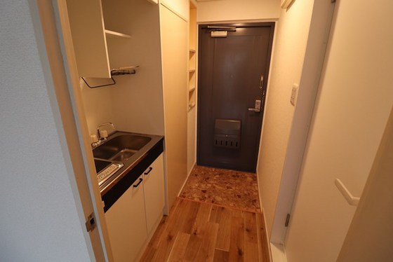 玄関　※別号室の写真になります。