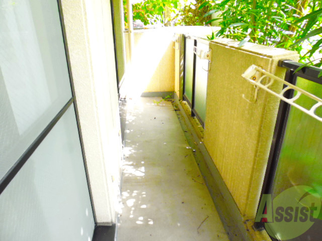 バルコニー　バルコニーにも緑がたくさん。