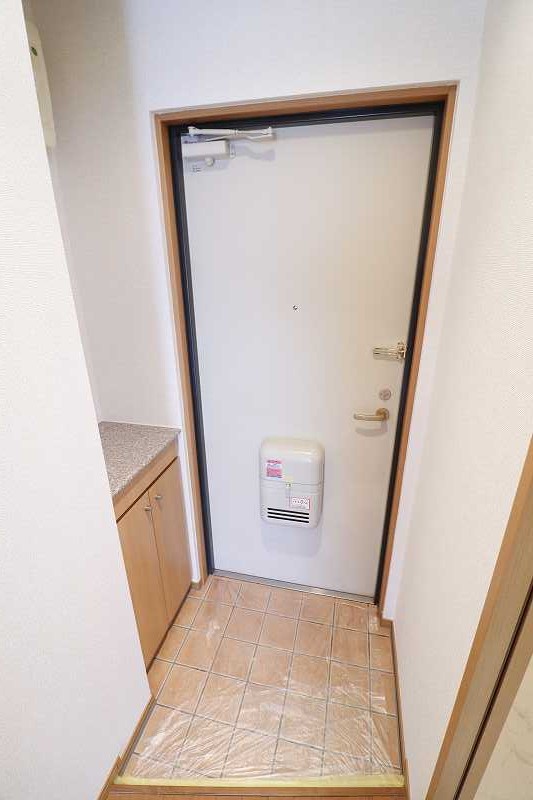 玄関　※同物件、別部屋の写真です。