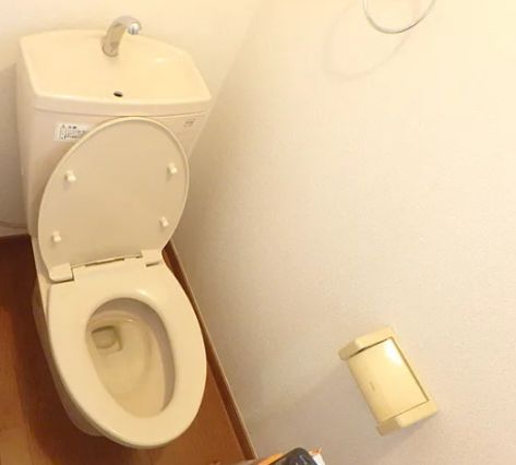 トイレ　トイレも気になるポイント