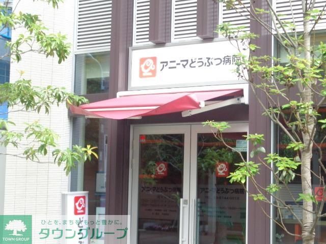 病院　アニーマ動物病院（病院）まで389m