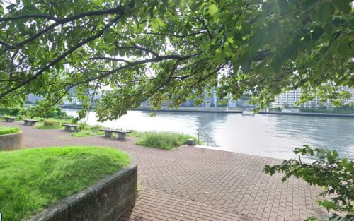 公園　隅田川テラス（公園）まで229m