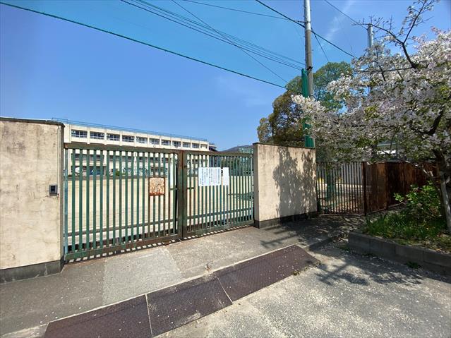 小学校　東大阪市立繩手東小学校（小学校）まで348m