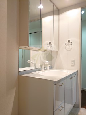 洗面設備　トレステージ目黒　参考写真