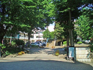 小学校　所沢市立伸栄小学校（小学校）まで432m