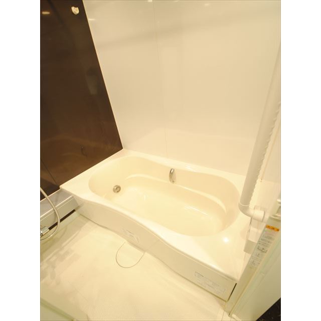 バス・シャワールーム　落ち着いた空間のお風呂です