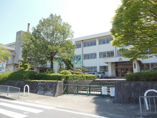 その他　【中学校】白橿中学校（その他）まで775m