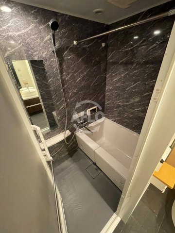 バス・シャワールーム　リーガル京町堀II　浴室