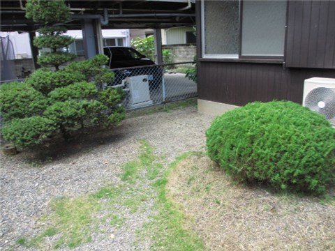 その他　（その他）まで0m