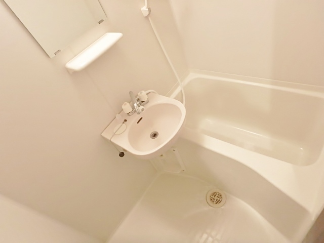 バス・シャワールーム　同物件の別部屋の写真です