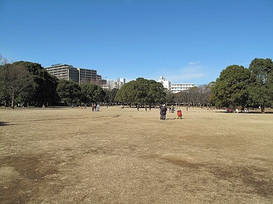 公園　行田公園（公園）まで400m