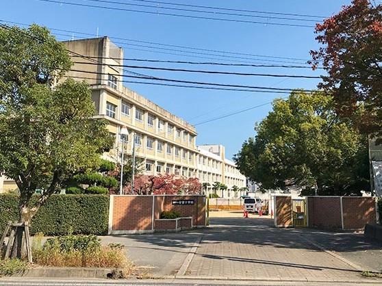小学校　安室小学校（小学校）まで240m