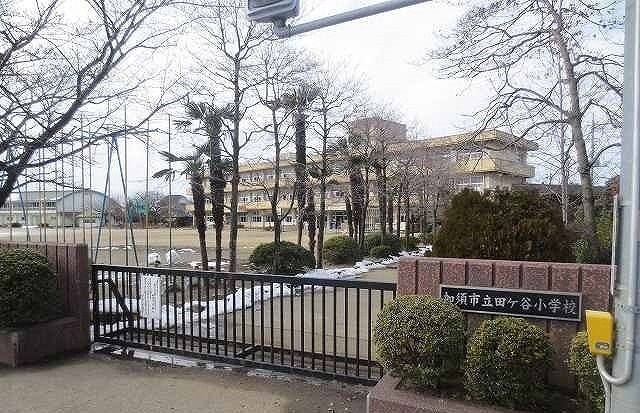 小学校　加須市立田ケ谷小学校（小学校）まで700m
