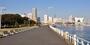 公園　公園「山下公園」（公園）まで386m