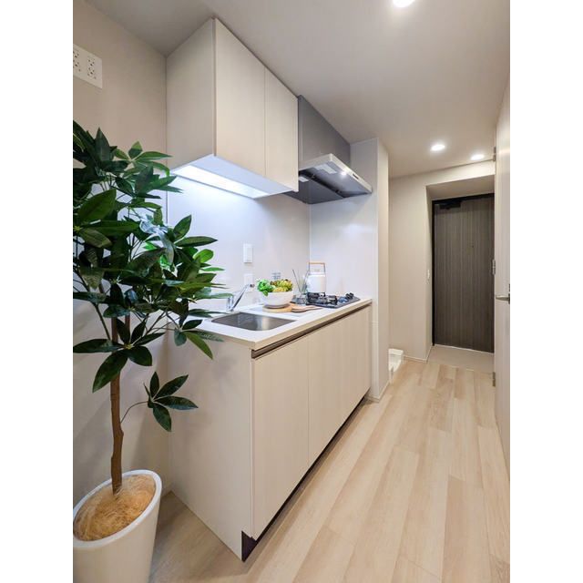 キッチン　【家具・家電の備え付けはありません・同タイプ別部屋】