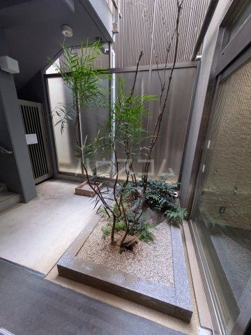 庭