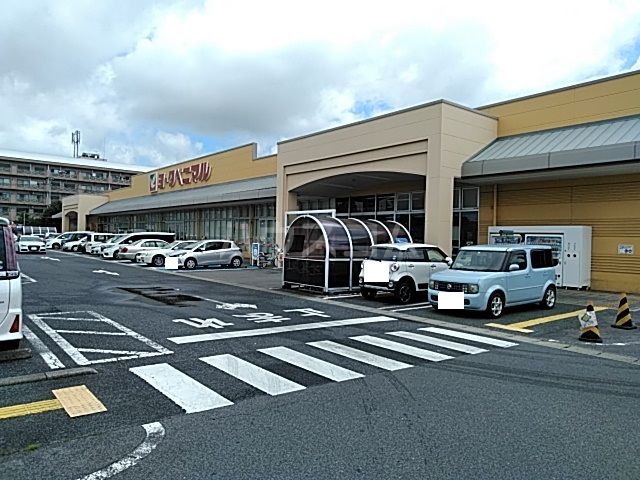 スーパー　ヨークベニマル 細谷店（スーパー）まで1545m