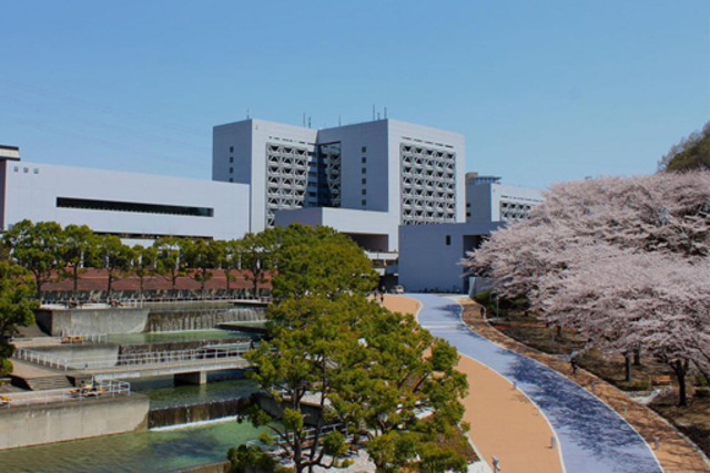 大学・短大　私立中央大学（大学・短大）まで1734m