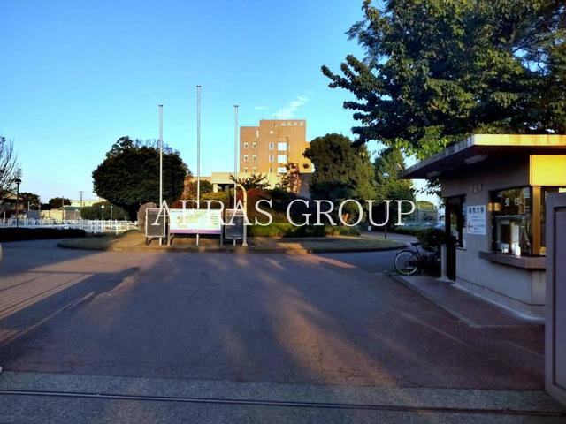 大学・短大　麻布大学（大学・短大）まで1456m