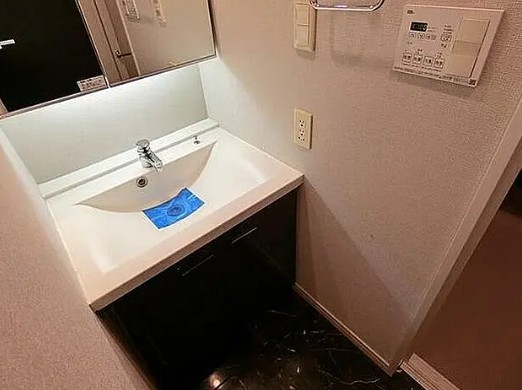 洗面設備　写真は同タイプ住居です。